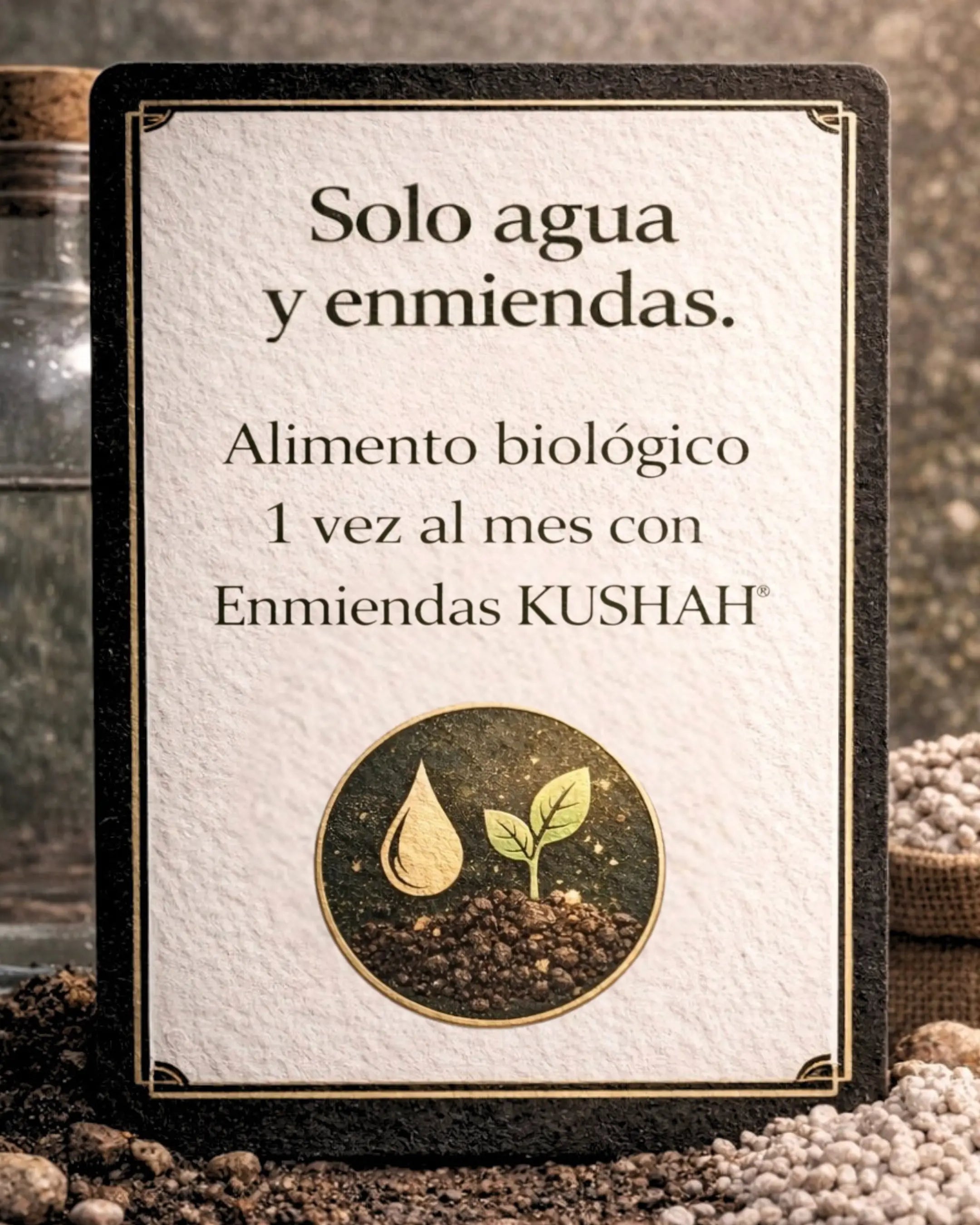 Bosque Eterno KUSHAH solo agua y alimento biológico con enmiendas orgánicas mensuales, sistema living soil no-till de suelo vivo.