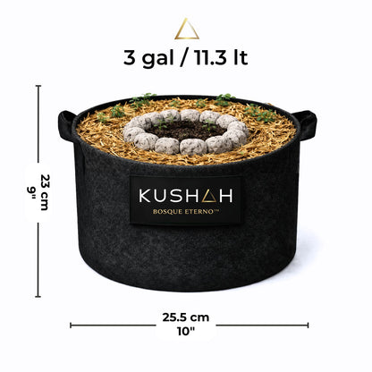 Maceta Bosque Eterno KUSHAH de 3 galones (25.5 x 23 cm) con suelo vivo living soil no-till, mulch orgánico y sistema autosustentable para cultivos compactos