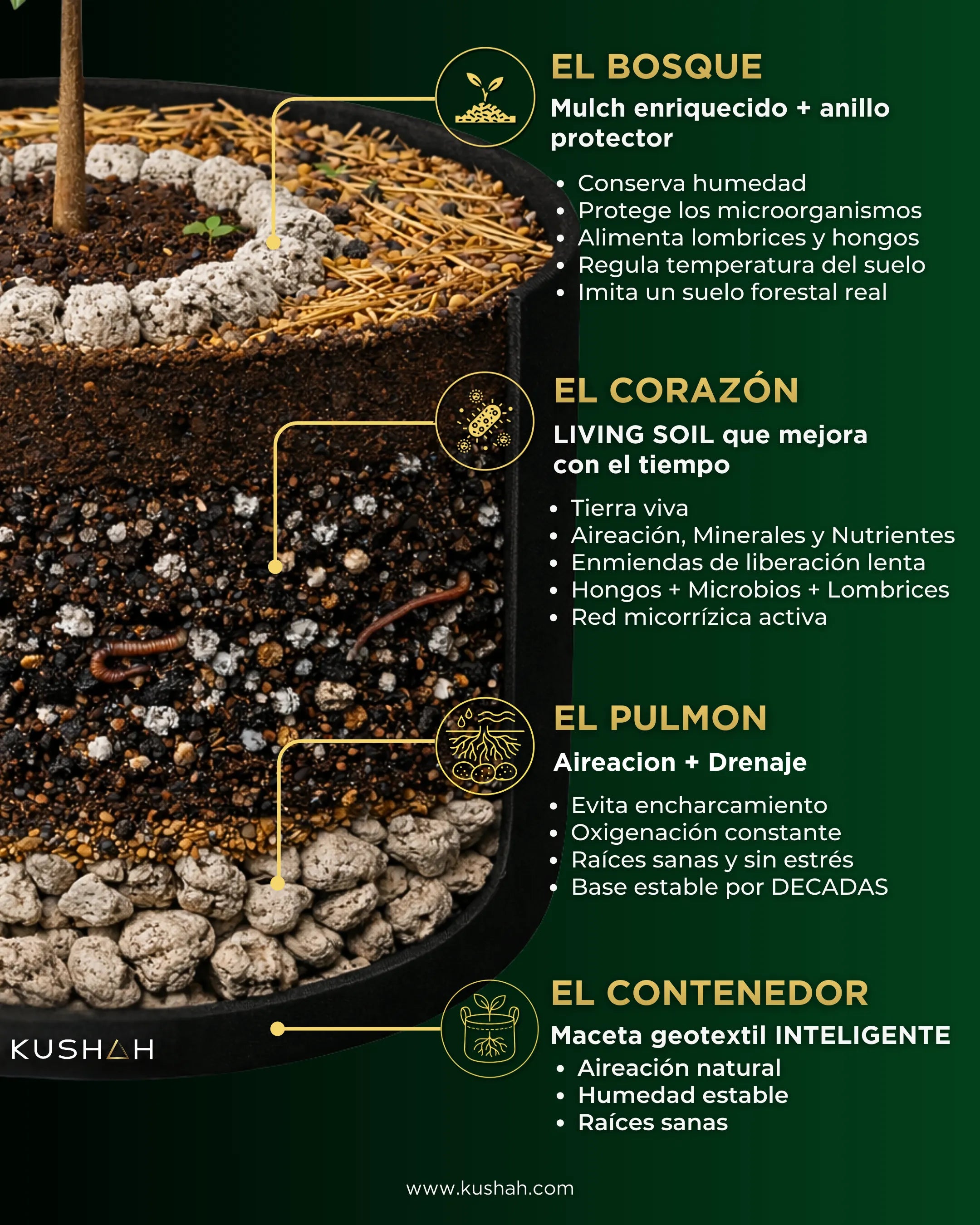 Diagrama del Living Soil de KUSHAH mostrando las capas: mulch, mezcla viva, drenaje y maceta geotextil inteligente del sistema Bosque Eterno