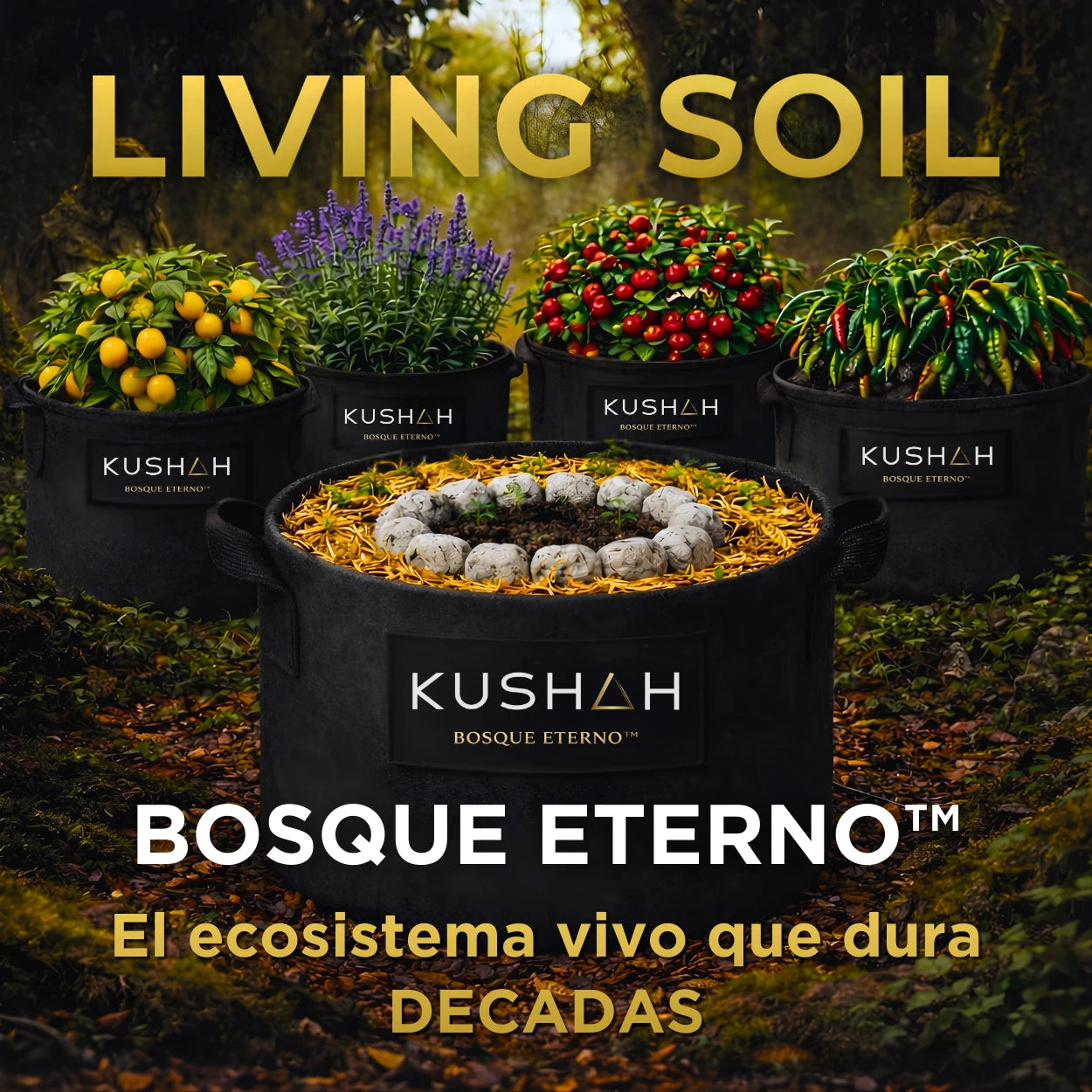 Living Soil Bosque Eterno de KUSHAH con macetas no-till cultivando tomates, chiles, lavanda y cítricos en un ecosistema vivo no-till permanente.